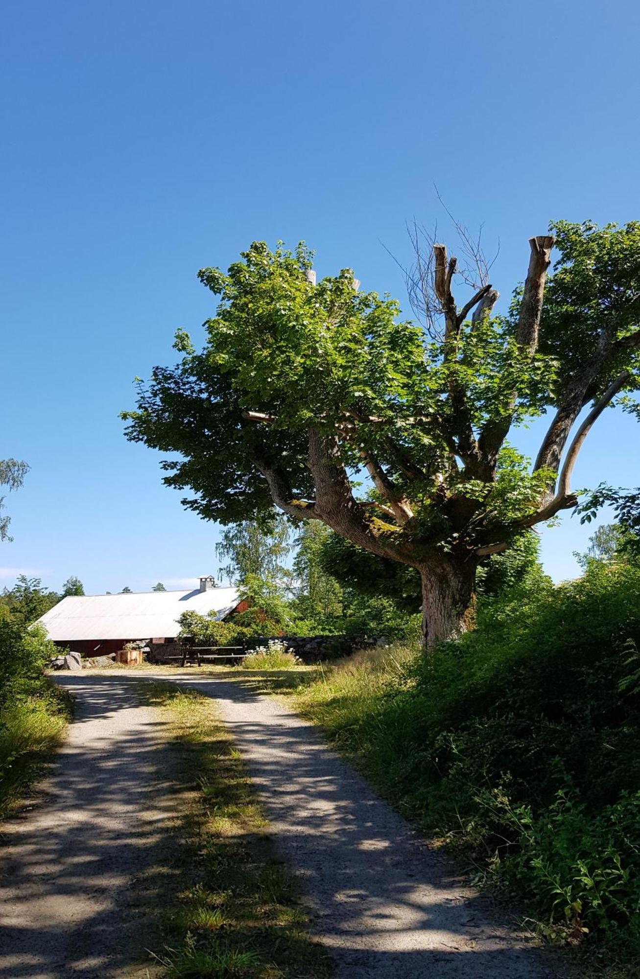 Stroenhult Farmhouse By The Lake Stronhult 외부 사진